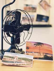 Seasonal and Vacation Rentals, Cottages & Villas steps from the beach in Longboat Key Florida